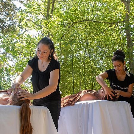 Hotel Mas Valentine Saint-Rémy-de-Provence المظهر الخارجي الصورة